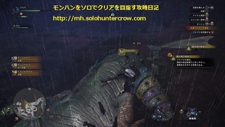 モンスターハンター:ワールド_緊急討伐
2.jpg